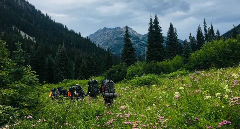 a group of students carrying backpacks hike through a green mountain meadow with mountains in the background